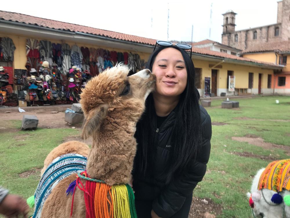 Alpaca Cusco
